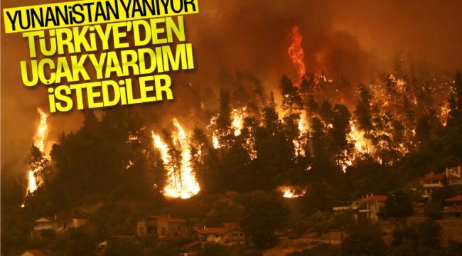 Bekir Pakdemirli: Yunanistan'ın uçak talebi var, değerlendirmeye çalışıyoruz