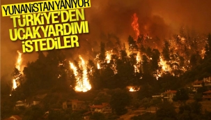 Bekir Pakdemirli: Yunanistan'ın uçak talebi var, değerlendirmeye çalışıyoruz