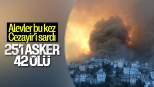 Cezayir'deki yangınlarda 42 kişi hayatını kaybetti