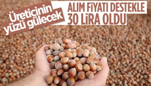 Cumhurbaşkanı Erdoğan'dan fındık üreticilerini ilgilendiren açıklama