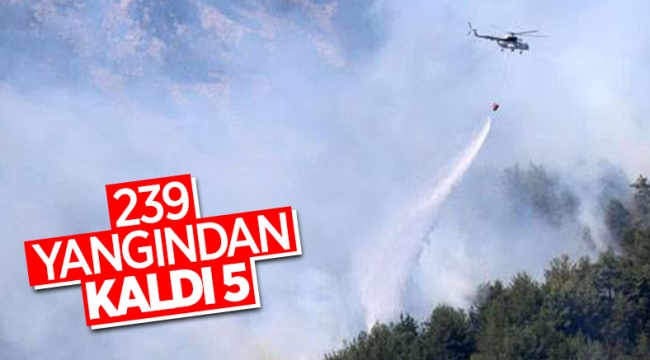 Fahrettin Altun, yangınlarla ilgili son durumu paylaştı