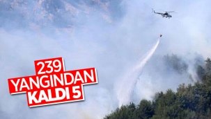 Fahrettin Altun, yangınlarla ilgili son durumu paylaştı