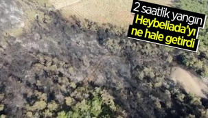 Heybeliada'da yangının bıraktığı hasar havadan görüntülendi
