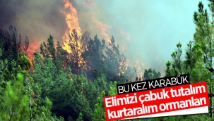 Karabük'te orman yangını çıktı