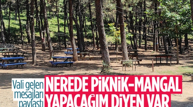 Kocaeli Valisi Seddar Yavuz: Türkiye yanıyor, piknik günü mü