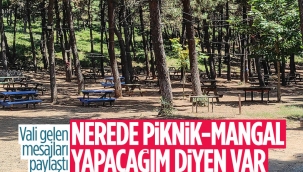 Kocaeli Valisi Seddar Yavuz: Türkiye yanıyor, piknik günü mü