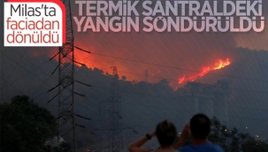 Milas'taki termik santrale sıçrayan yangın söndü