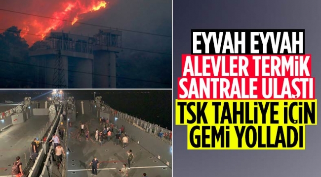 Milas'taki yangın termik santrale ulaştı