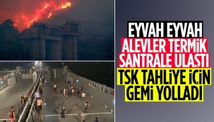 Milas'taki yangın termik santrale ulaştı