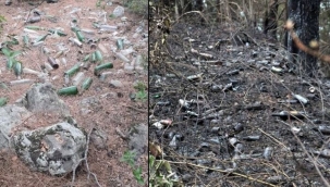 Orman yangını sonrasında dikkat çeken kirlilik