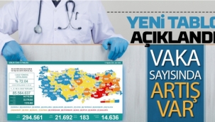 Türkiye'de 17 Ağustos günü koronavirüs nedeniyle 183 kişi vefat etti, 21 bin 692 yeni vaka tespit edildi
