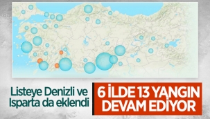 Türkiye'de orman yangınlarının devam ettiği bölgeler