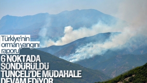 Türkiye genelinde 6 orman yangını kontrol altına alındı