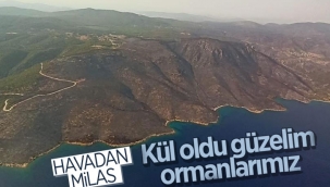Yangın sonrası Muğla gökyüzünden böyle görüntülendi