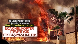 Yunanistan'ın Eğriboz adasında yangının korkutucu görüntüleri