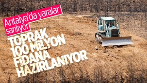 Antalya'da yanan ormanların yerine 100 milyon fidan