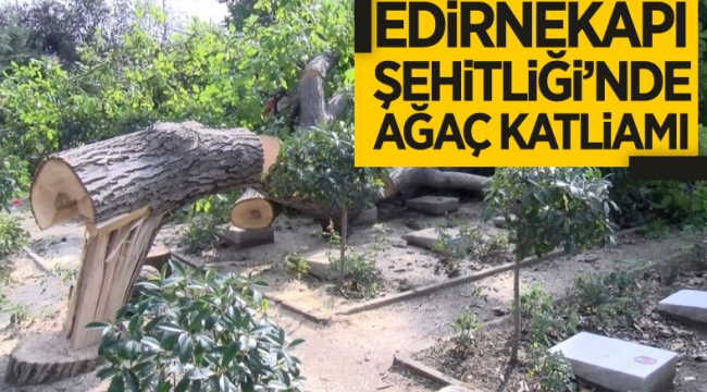 Edirnekapı Şehitliği'ndeki ağaç kesimi tepki topladı