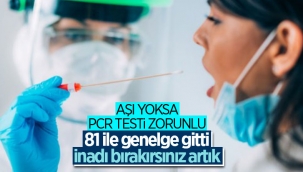 İçişleri Bakanlığı'ndan PCR Testi Zorunluluğu Genelgesi