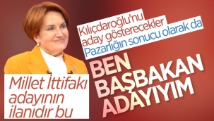 Meral Akşener: Başbakan adayıyım