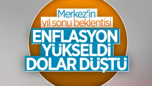 Merkez Bankası yıl sonu enflasyon ve dolar tahminini açıkladı