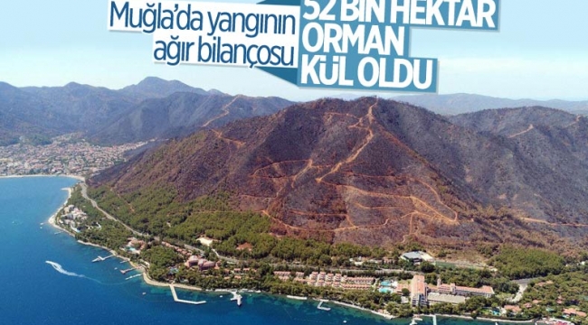 Muğla yangınlarında 52 bin hektar alan zarar gördü