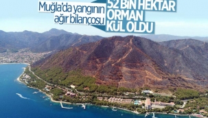 Muğla yangınlarında 52 bin hektar alan zarar gördü