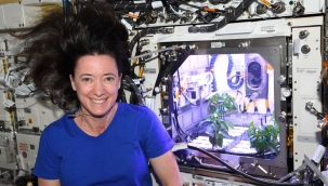 NASA astronotu: Uzayda biber fideleri çiçek açtı