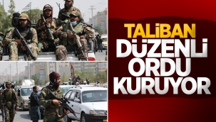 Taliban düzenli ordu kuruyor