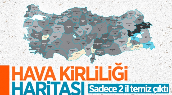Türkiye'de geçen yıl 13 şehirde 'yüksek hava kirliliği' olduğu belirlendi