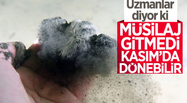 Uzmanlar uyardı: Marmara'da Kasım ayında müsilaj tekrarlayabilir