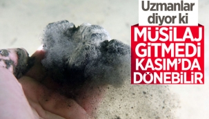Uzmanlar uyardı: Marmara'da Kasım ayında müsilaj tekrarlayabilir