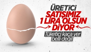 Yumurta fiyatları katlandı: Üreticilerden 'adet fiyatını 1 lira yapalım' talebi