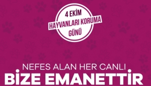 4 EKİM "DÜNYA HAYVANLARI KORUMA GÜNÜ"
