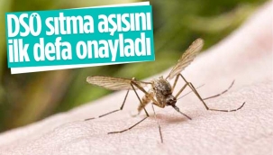 DSÖ, sıtma aşısını onayladı