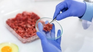 Dünyada ve Türkiye'de yapay et üretimi