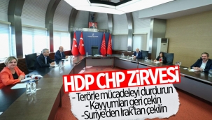 HDP heyeti, Demokrasi Tutum Belgesi'ni CHP'ye sundu