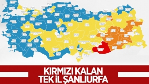 Türkiye'nin koronavirüs tablosu