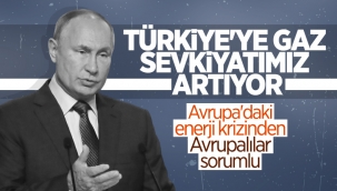 Vladimir Putin: Türkiye'ye doğalgaz sevkiyatlarını artırıyoruz