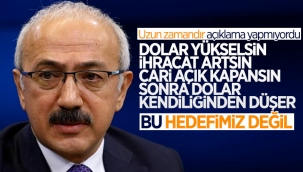 Lütfi Elvan: Hükümetin yüksek döviz kuru hedeflediği yorumu doğru değil
