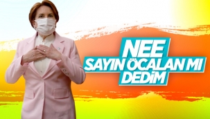 Meral Akşener: HDP'yi PKK'nın yanında konumlandırıyorum