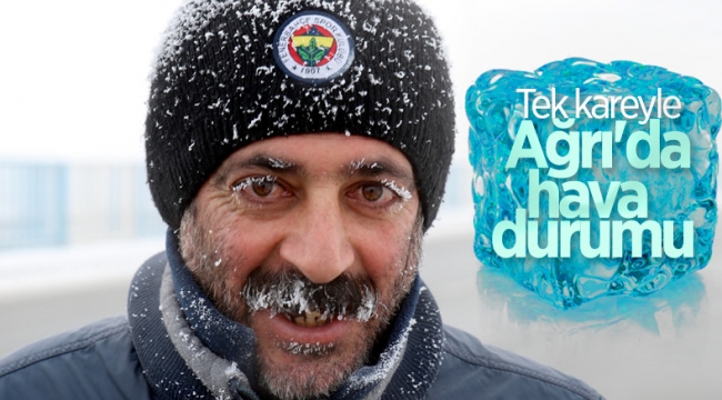 Ağrı'da dışarı çıkanların kirpikleri kırağı tuttu 