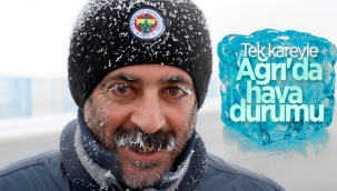 Ağrı'da dışarı çıkanların kirpikleri kırağı tuttu 