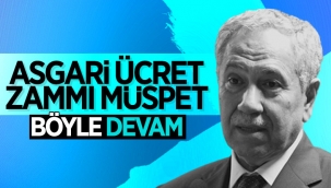 Bülent Arınç'ın asgari ücret değerlendirmesi