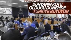 Bütçe Komisyonu'nda ülke büyüyor kavgası