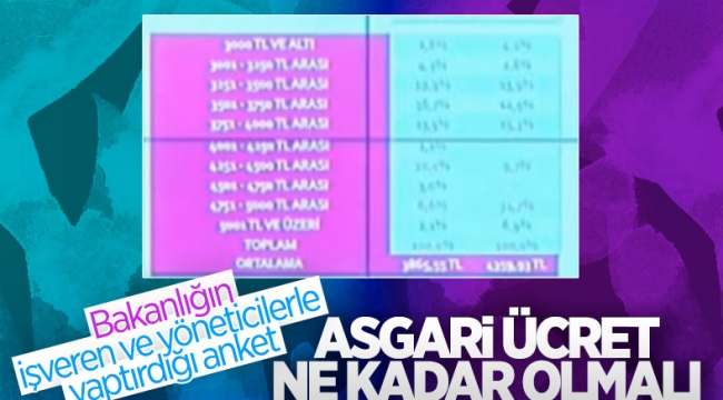 Çalışma Bakanlığı'nın asgari ücret ne kadar olmalı anketi