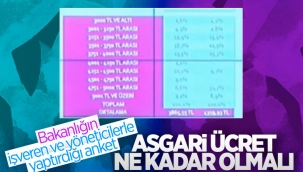 Çalışma Bakanlığı'nın asgari ücret ne kadar olmalı anketi