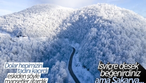 Çam Dağı'nda kar ve sis güzelliği