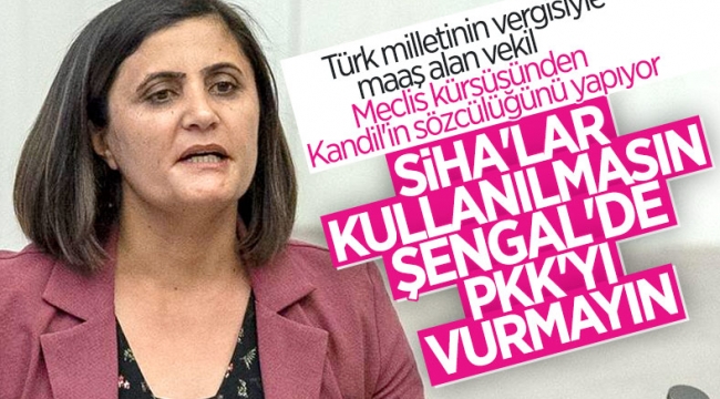 HDP'li vekil Dilan Taşdemir'in SİHA rahatsızlığı