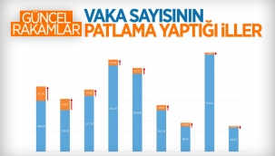 İllere göre haftalık vaka haritası paylaşıldı 