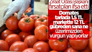 İstanbul Ziraat Odası Başkanı: Zincir marketler üzerimizden vurgun yapıyor